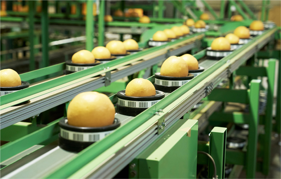 光センサーで検査