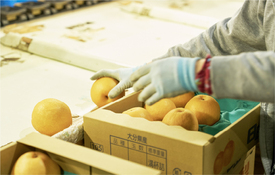 目視で最終確認