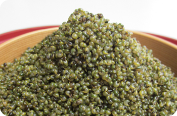 大館が生んだ畑のキャビアフランス人も魅了した「大館とんぶり」は優れた栄養価のスーパーフード