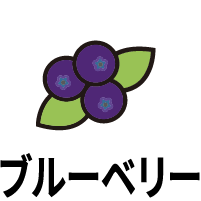 ブルーベリー