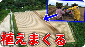 約23,000㎡の広大な土地で農家さんのお手伝いをしてきた！！