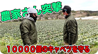 大手の農家さんに突撃して農業のお手伝いをしてみた！