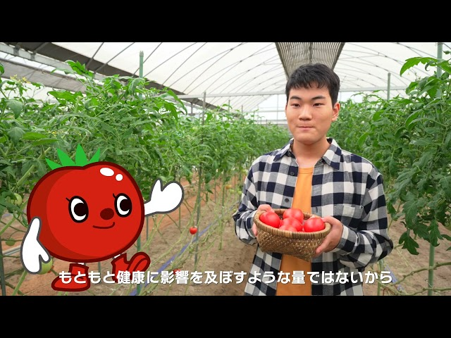 のーやくは残っても大丈夫？編