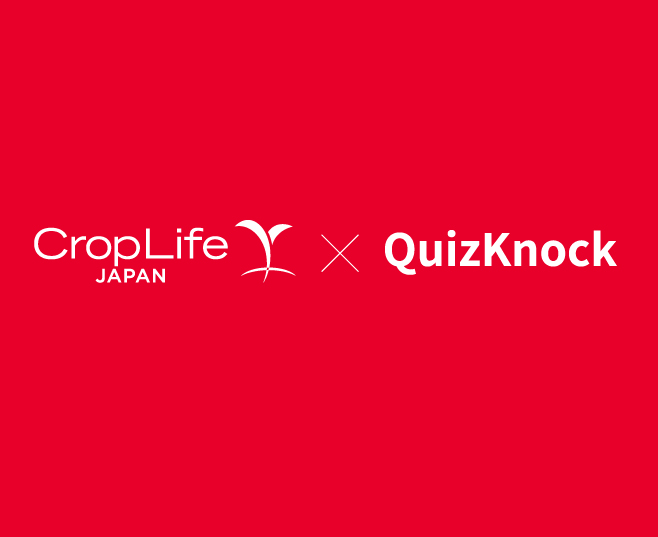 Quizknockコラボ